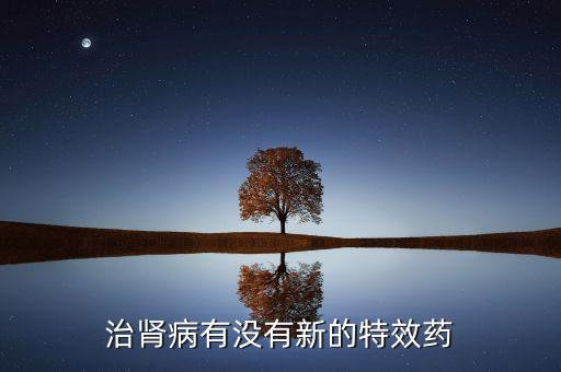 治療腎病最新創(chuàng)新藥，治療腎病最好的藥物是什么