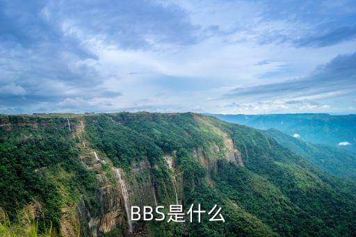 BBS是什么