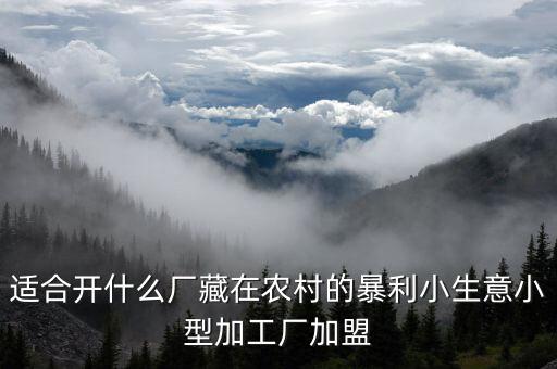適合開(kāi)什么廠藏在農(nóng)村的暴利小生意小型加工廠加盟