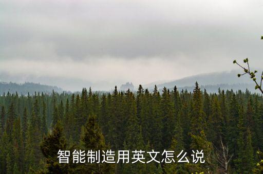 智能制造用英文怎么說