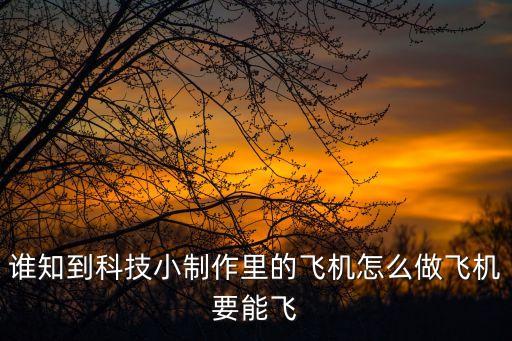 誰知到科技小制作里的飛機怎么做飛機要能飛