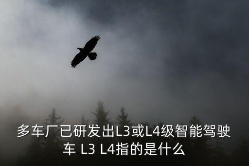 多車廠已研發(fā)出L3或L4級智能駕駛車 L3 L4指的是什么