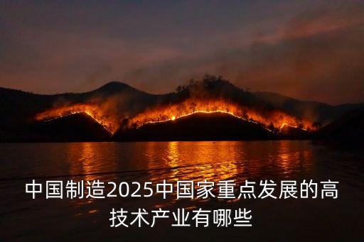 中國制造2025中國家重點(diǎn)發(fā)展的高技術(shù)產(chǎn)業(yè)有哪些