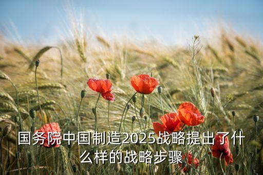 國務(wù)院中國制造2025戰(zhàn)略提出了什么樣的戰(zhàn)略步驟