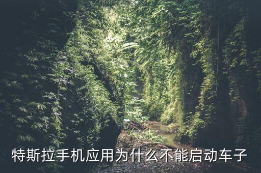 特斯拉手機(jī)應(yīng)用為什么不能啟動(dòng)車子