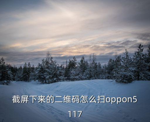 截屏下來的二維碼怎么掃oppon5117