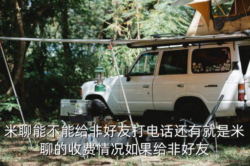 米聊能不能給非好友打電話還有就是米聊的收費(fèi)情況如果給非好友