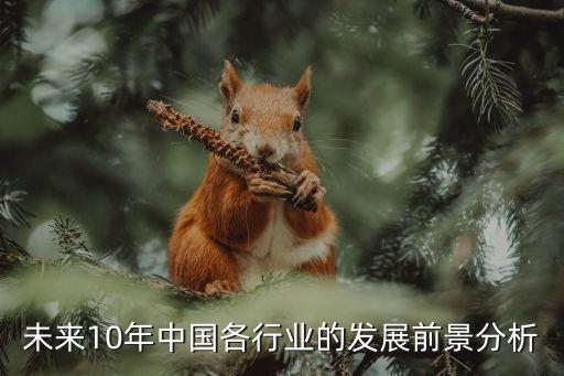 中國十年來在各個領(lǐng)域的發(fā)展情況，最近十年來我們國家在科技方面有哪些重大進展和突破