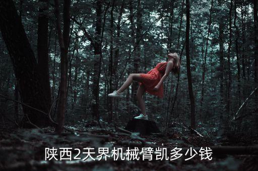 工業(yè)機(jī)械臂多少錢(qián)一個(gè)，陜西2天界機(jī)械臂凱多少錢(qián)