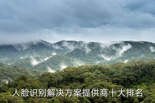 人臉識別解決方案提供商十大排名