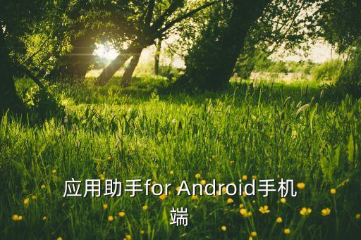 應用助手for Android手機端