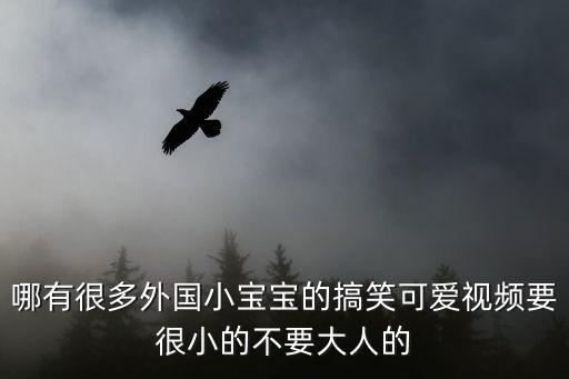 萌萌噠小視頻，0855影視在線免費觀看電視劇