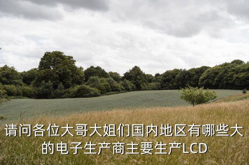 請(qǐng)問(wèn)各位大哥大姐們國(guó)內(nèi)地區(qū)有哪些大的電子生產(chǎn)商主要生產(chǎn)LCD