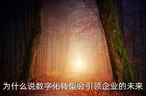 為什么說數(shù)字化轉(zhuǎn)型會(huì)引領(lǐng)企業(yè)的未來