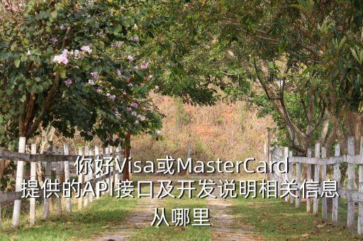 你好Visa或MasterCard提供的API接口及開發(fā)說明相關(guān)信息從哪里