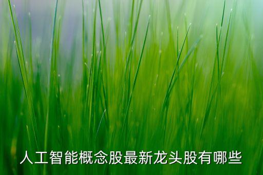 人工智能概念股最新龍頭股有哪些