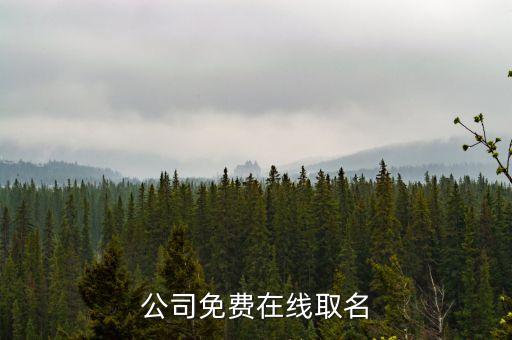 公司起名免費(fèi)，免費(fèi)公司取名