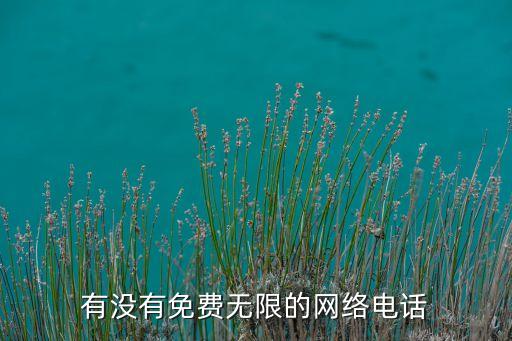 有沒有免費(fèi)無限的網(wǎng)絡(luò)電話