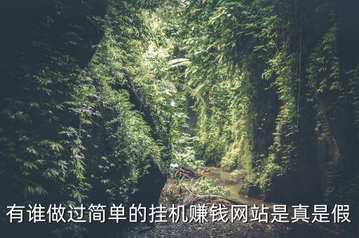 掛機(jī)賺錢網(wǎng)，有誰(shuí)做過(guò)簡(jiǎn)單的掛機(jī)賺錢網(wǎng)站是真是假