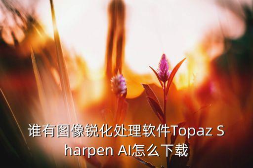 ai圖像增強軟件，可以提高圖片像素的app
