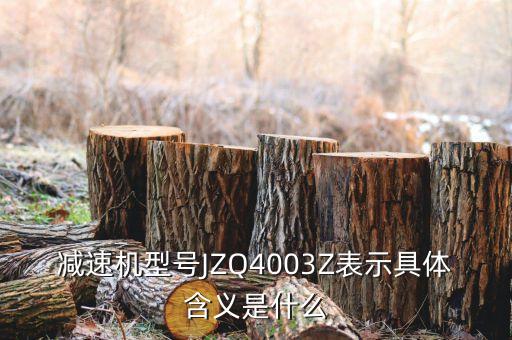 減速機(jī)型號(hào)JZQ4003Z表示具體含義是什么