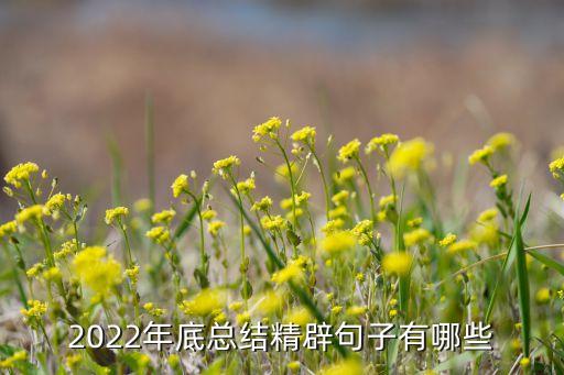 2022年新時代的感悟100字，感受新時代的作文