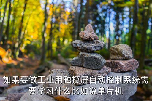 如果要做工業(yè)用觸摸屏自動(dòng)控制系統(tǒng)需要學(xué)習(xí)什么比如說單片機(jī)
