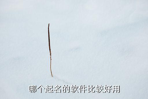 哪個(gè)起名的軟件比較好用