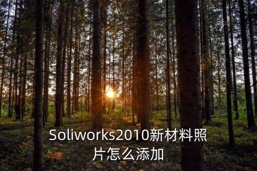 Soliworks2010新材料照片怎么添加