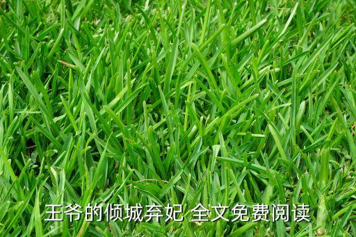 王爺?shù)膬A城棄妃 全文免費(fèi)閱讀