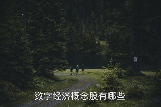 數(shù)字經(jīng)濟股票一覽表，數(shù)字經(jīng)濟概念股有哪些