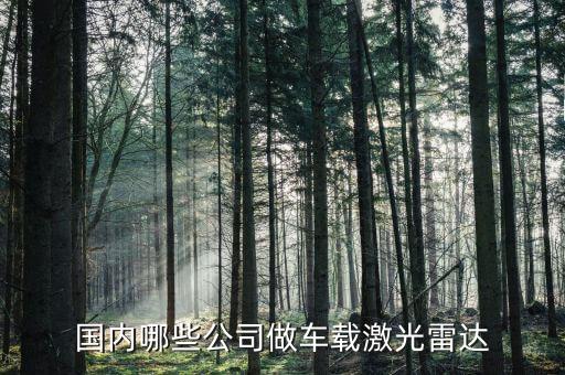 國內哪些公司做車載激光雷達