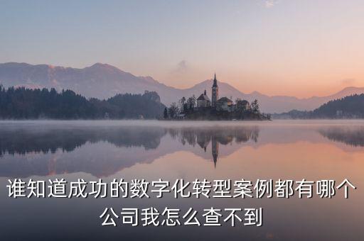 銀行數(shù)字化轉(zhuǎn)型金點子，為完成數(shù)字化轉(zhuǎn)型發(fā)采取了哪些工作措施