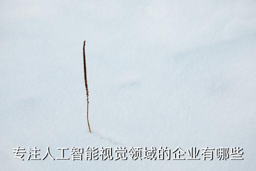 中國ai人工智能影像公司排名，國內(nèi)提供嵌入式視覺識別技術(shù)的人工智能企業(yè)有哪些