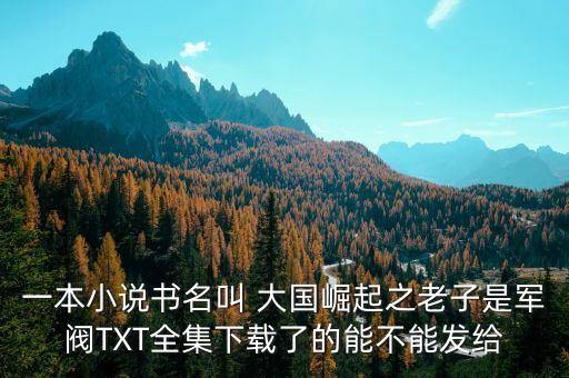 一本小說(shuō)書名叫 大國(guó)崛起之老子是軍閥TXT全集下載了的能不能發(fā)給