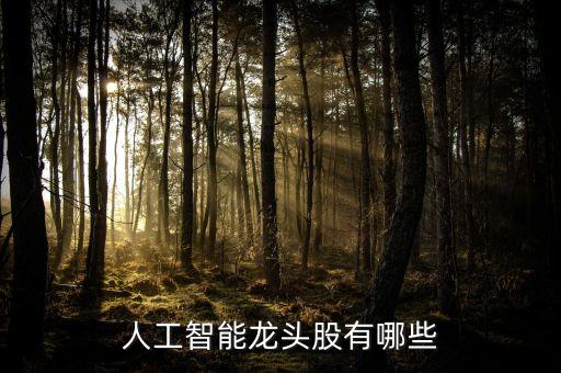 人工智能股票排名前十，人工智能方面的股票名字有哪些