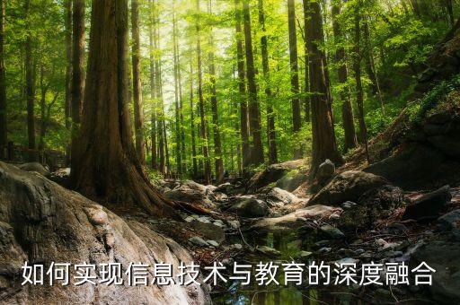 如何實現(xiàn)信息技術(shù)與教育的深度融合