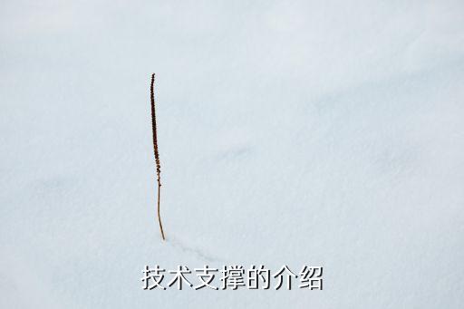 以技術(shù)為支撐，技術(shù)支撐的介紹