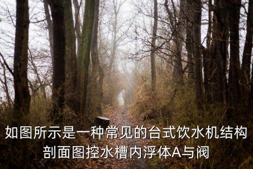 如圖所示是一種常見(jiàn)的臺(tái)式飲水機(jī)結(jié)構(gòu)剖面圖控水槽內(nèi)浮體A與閥