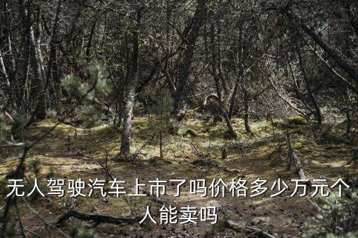 無(wú)人駕駛汽車上市了嗎價(jià)格多少萬(wàn)元個(gè)人能賣嗎