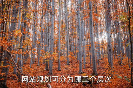 網(wǎng)站規(guī)劃可分為哪三個層次