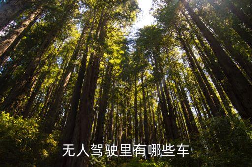 無人駕駛里有哪些車