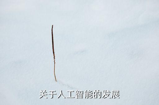 關于人工智能的發(fā)展