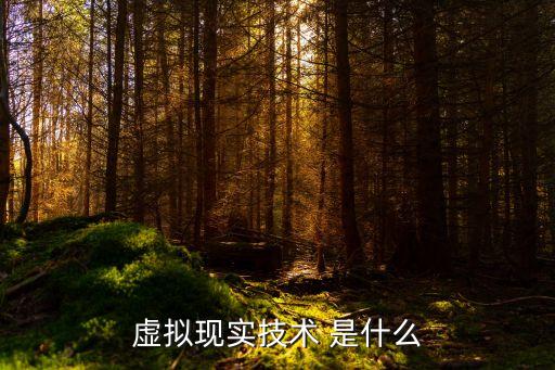 虛擬現(xiàn)實技術(shù) 是什么
