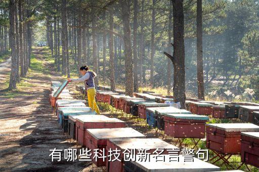 有哪些科技創(chuàng)新名言警句