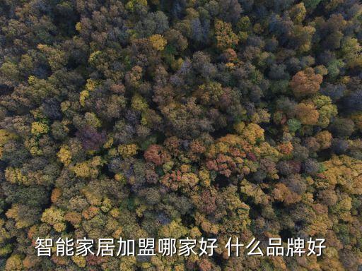 智能產(chǎn)品加盟廠家排名，智能機(jī)器人代理加盟哪家好