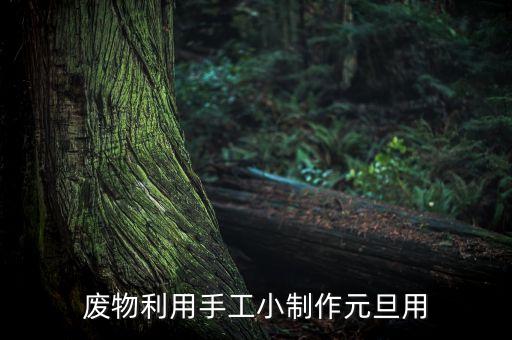 一年級(jí)廢物利用手工制作大全，廢物利用小制作