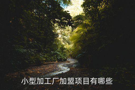 小型加工廠加盟項(xiàng)目有哪些