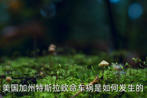 特拉斯自動(dòng)駕駛事件，喝完酒開(kāi)特斯拉使用自動(dòng)駕駛算不算酒駕