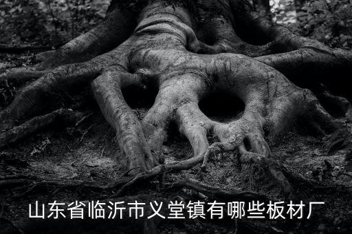 山東省臨沂市義堂鎮(zhèn)有哪些板材廠